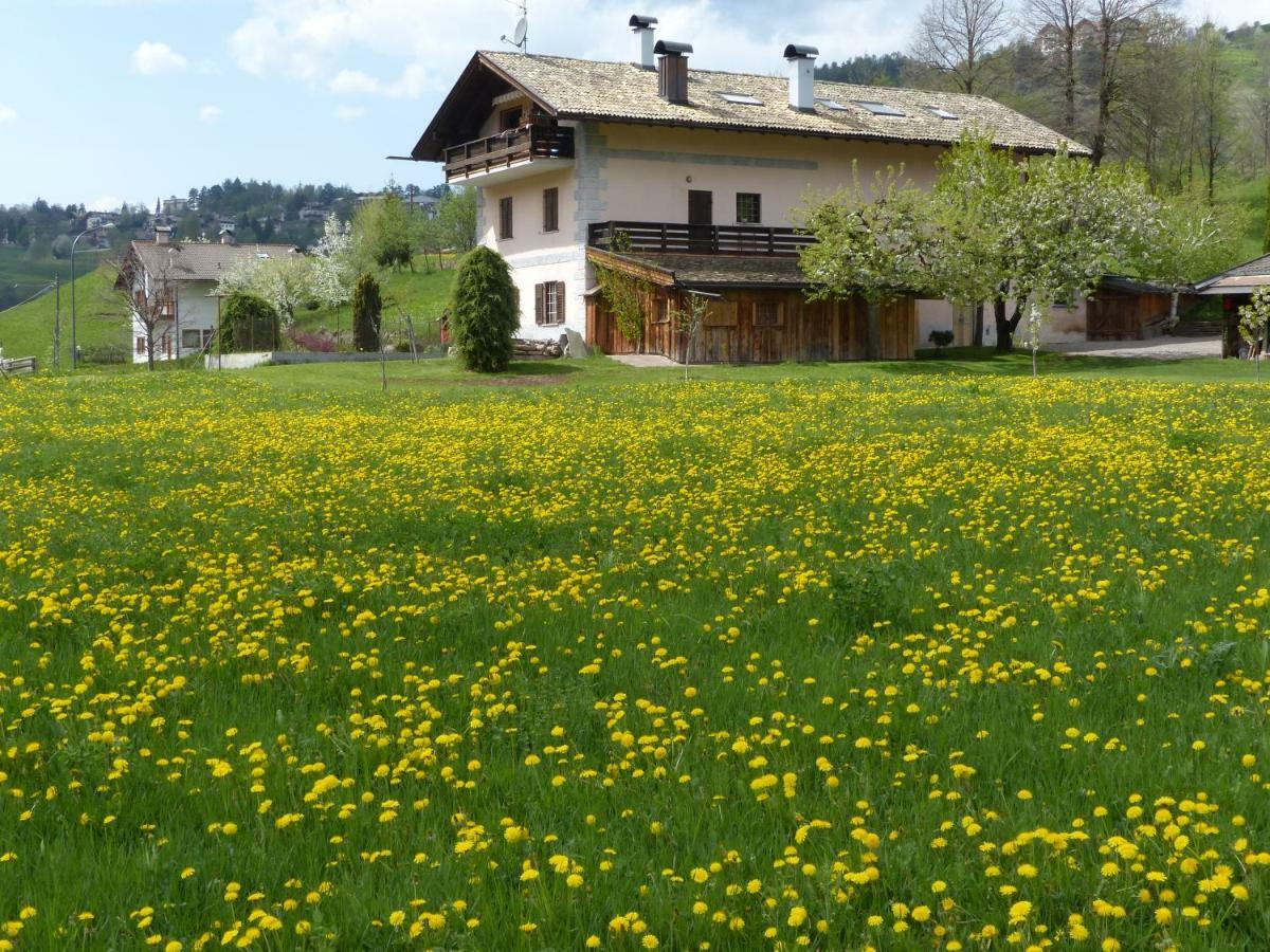 Maso Pinterato Apartment Cavalese Exterior photo